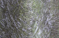 Gib Heath fibreglass roof work